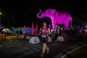 BIB: 
                            <button type="button" onclick="openModal(26552074)" class="btn btn-primary btn-sm float-right btn-popup" data-toggle="modal" data-target=".modal-high-quality">
                        <i class="fas fa-shopping-cart"></i> Add to Cart
                    </button>
                                            <button type="button" onclick="isThisMe(26552074, true)" class="btn btn-success btn-sm float-right btn-popup btn-isme hidden" data-toggle="tooltip" data-placement="bottom" title="นี่คือรูปของคุณใช่ไหม คลิกที่นี่เพื่อเอาเข้าอัลบั้ม">
                        <i class="fas fa-plus"></i> Add to album
                    </button>
                    <button type="button" onclick="isThisMe(26552074, false)" class="btn btn-warning btn-sm float-right btn-popup btn-isnotme hidden">
                        <i class="fas fa-ban"></i> Remove from album
                    </button>